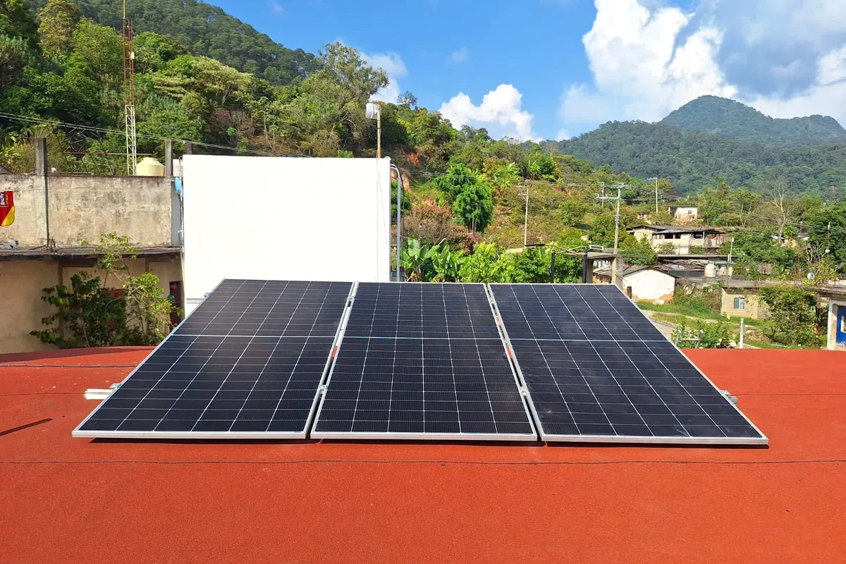 Tres paneles solares en una azotea rodeada de vegetación