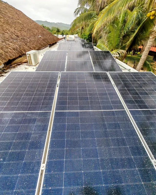 Hileras de paneles solares en una azotea rodeada de palmeras