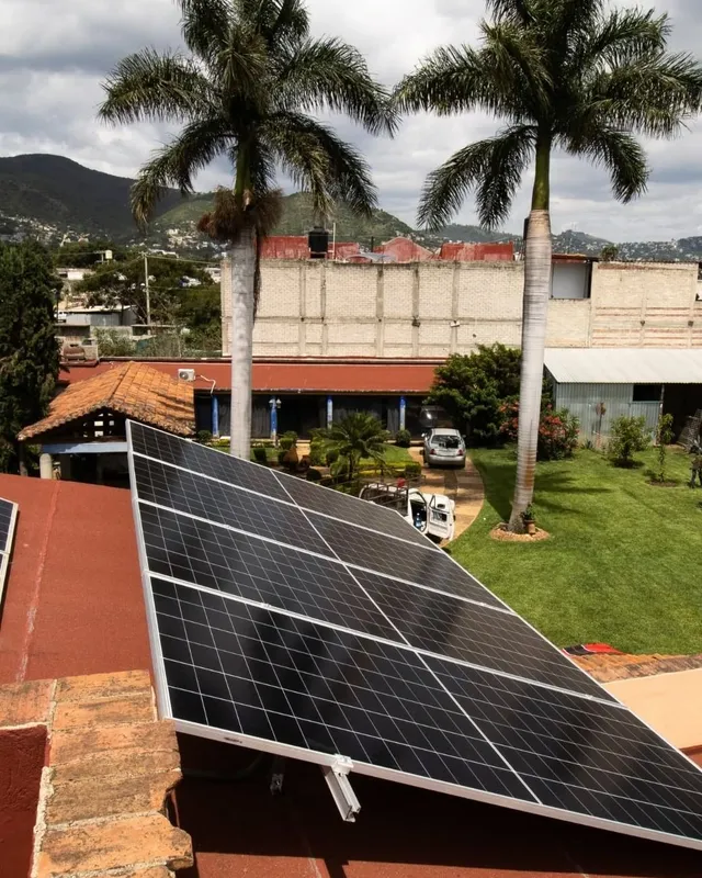 Paneles solares sobre azotea entre palmeras