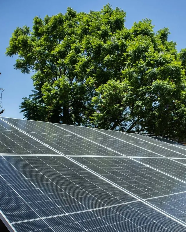 Paneles solares bajo cielo despejado junto a un árbol