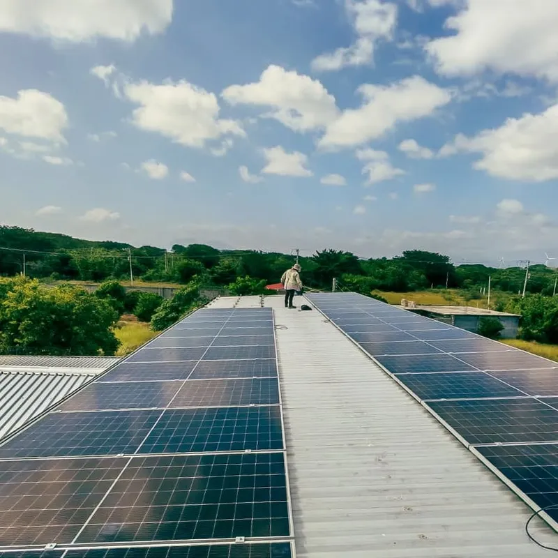 Dos hileras de paneles solares sobre el techo de una nave