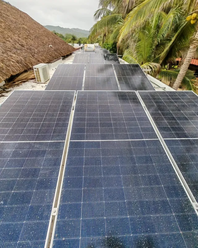 Hileras de paneles solares en una azotea junto a palmeras y un techo de palma